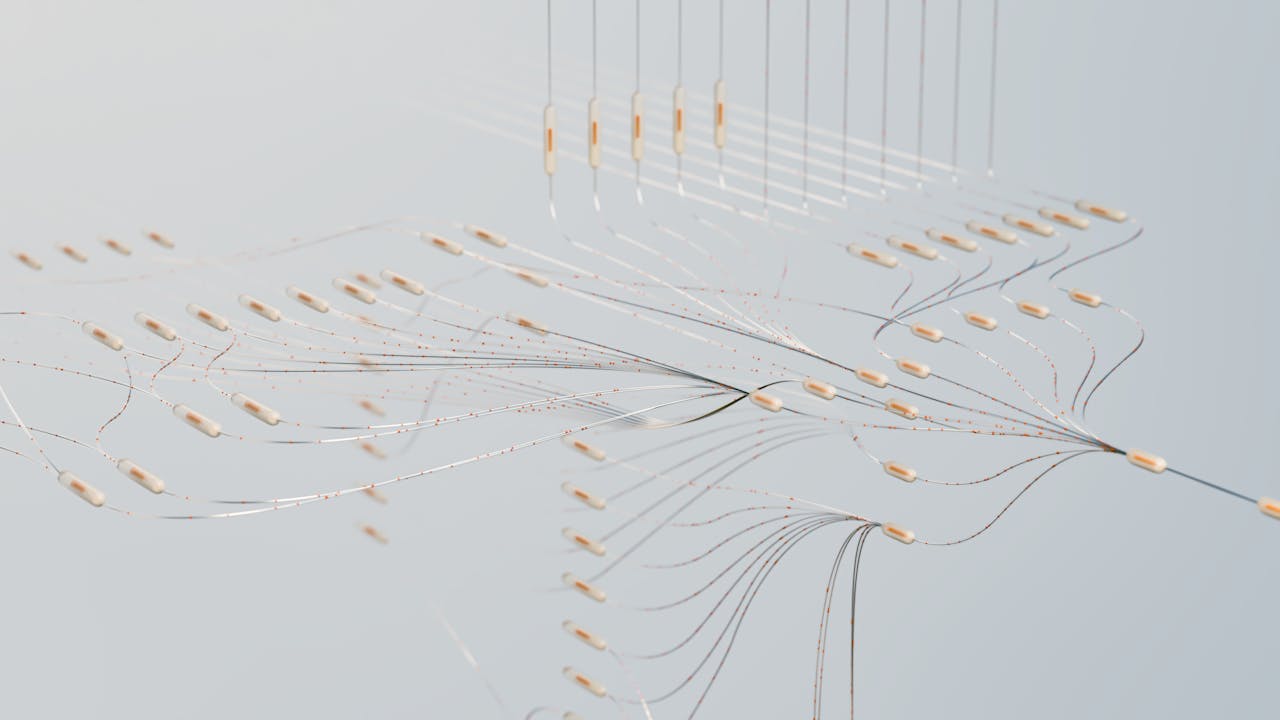 pexels photo 17483871.jpg